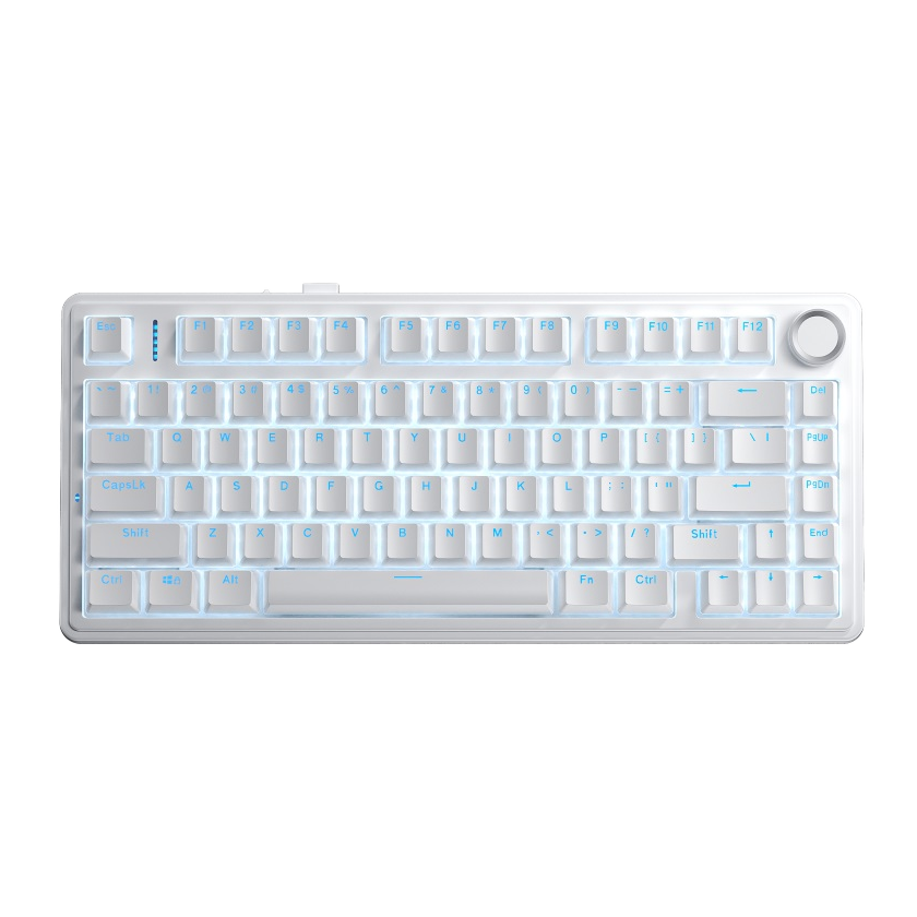 Aula F75 White Contour - Star Vector Switch