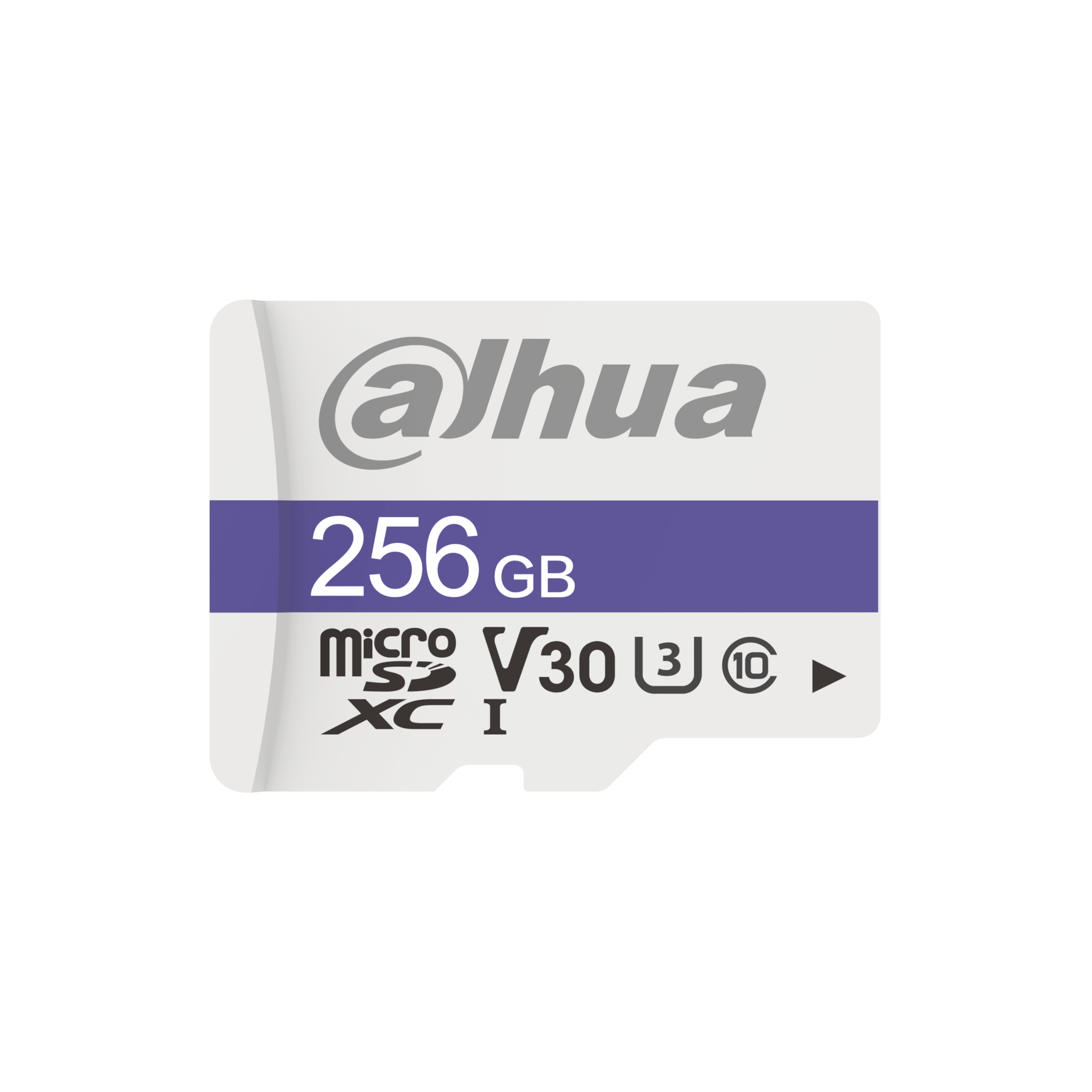Dahua DHI-TF-C100 256GB MicroSD CARD view 2